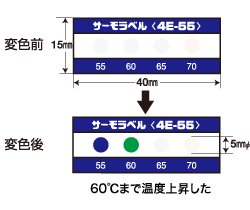4E変化ビュー